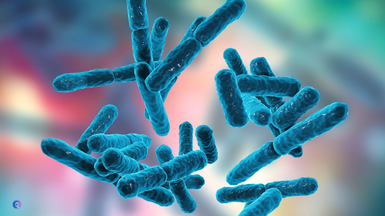 Understanding Probiotics